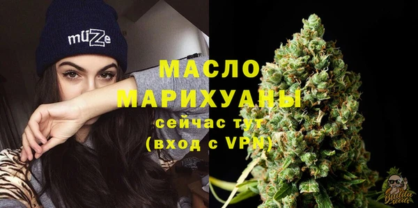 гашик Осинники